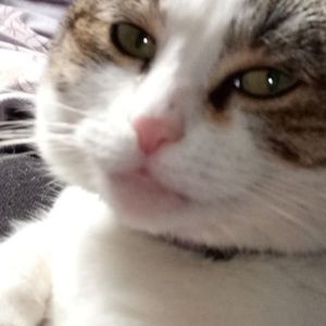 Meet your Posher, Patrick